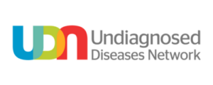 UDN logo