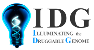 IDG logo