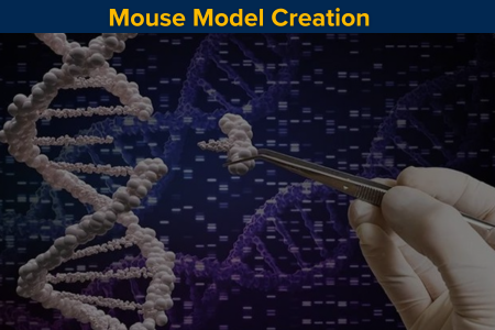 DNA sequencing visualization representing mouse model services