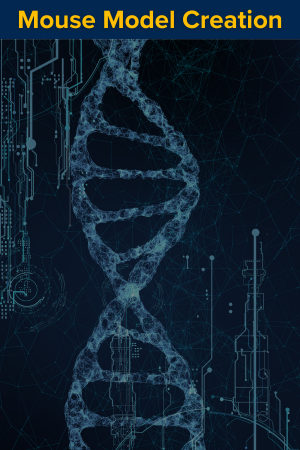 Portrait view of DNA sequencing visualization for mouse model services