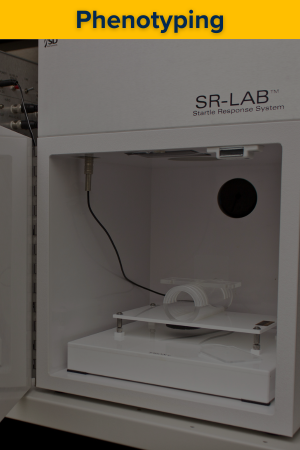 Portrait view of mouse phenotyping illustration showing trait analysis