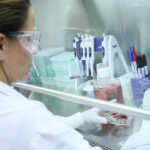 An image of https://www.mousebiology.org/wp-content/uploads/sites/3/2025/02/tissue_culture-300x169-1-e1678905422363.jpeg